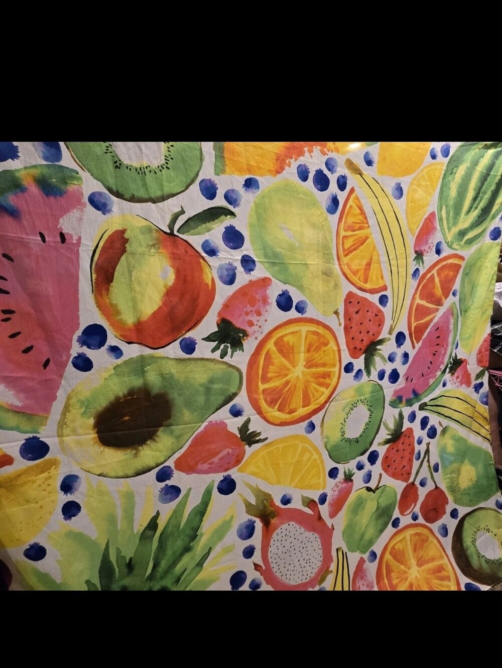 Echo Tropical Fruit Watercolor Print Oversized Scarf Wrap- Multicolor 55x52 Inch